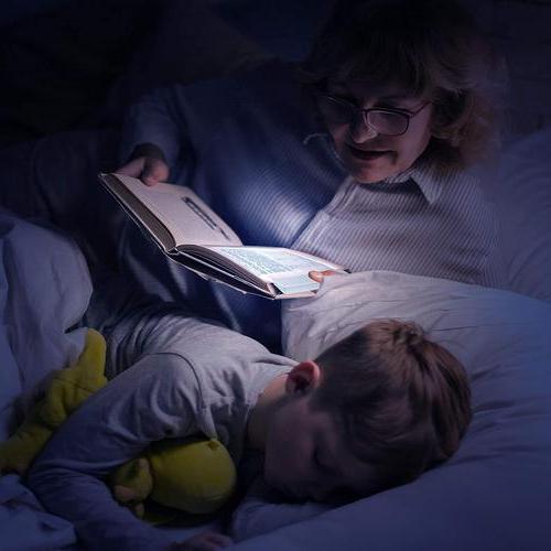 Book Light with Slim Foldable Panel and USB-C Rechargeable Battery, Magnetic Bookmark Clip Zanny Home