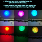 Axolotl 3D Crystal Lamp with Wooden Base and 16-Color LED, USB Powered Zanny Home