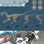 Interactive Dinosaur Toy with 2.4G Remote and Rechargeable Battery, Lifelike Sound Zanny Home
