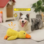 Plush Duck Dog Toy with Deep Quack Sound and Reinforced Stitching, Machine Washable Zanny Home
