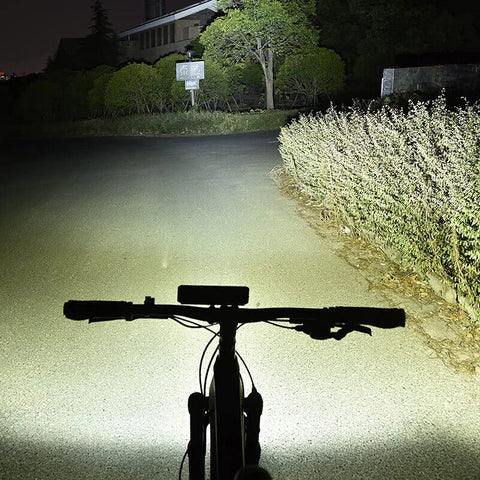 LED Bike Light with USB-C Rechargeable Battery and Quick-Attach Mount, IPX6 Rated Zanny Home
