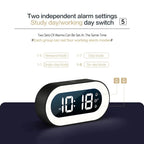 Sunrise Alarm Clock with Dimmable Wake Light and Nature Sounds, Rechargeable USB-C Battery Zanny Home