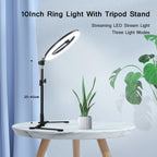 LED Ring Light with Adjustable Tripod and 360-Degree Phone Holder, USB Powered Zanny Home