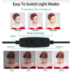 LED Ring Light with Adjustable Tripod and 360-Degree Phone Holder, USB Powered Zanny Home