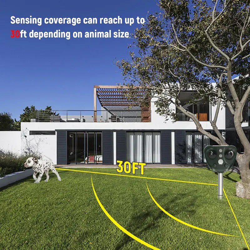 Solar Bird Deterrent with Ultrasonic Pulses and LED Flashes, USB Rechargeable, 30ft Range Zanny Home