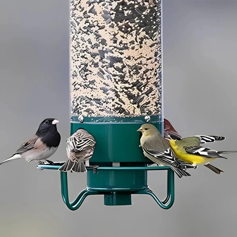 Squirrel Resistant Bird Feeder with Spinning Perch and Four Feeding Ports, 5 lb Capacity Zanny Home
