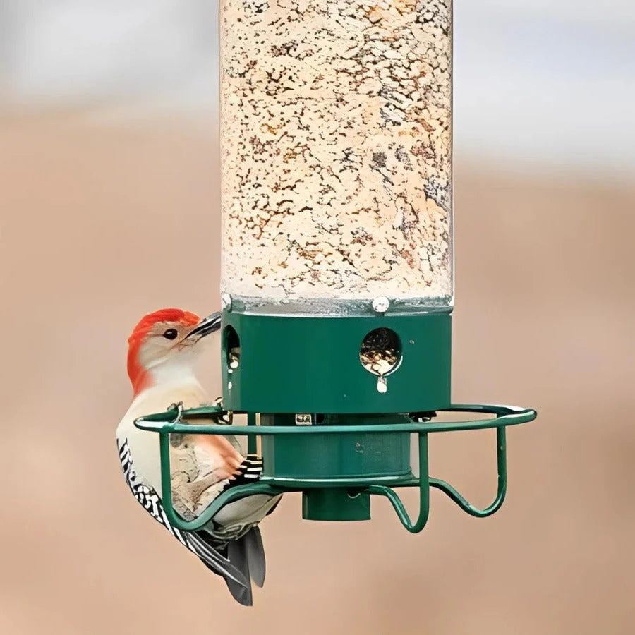 Squirrel Resistant Bird Feeder with Spinning Perch and Four Feeding Ports, 5 lb Capacity Zanny Home