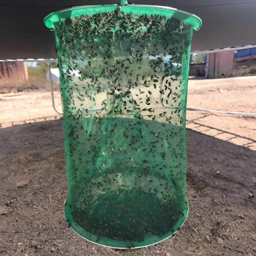 Hanging Fly Trap with All-Natural Bait and Reusable Expandable Design, 10 Baits Zanny Home