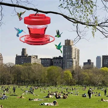 Hummingbird Feeder with 8 Feeding Ports and Integrated Perches, 16oz Clear Reservoir Zanny Home