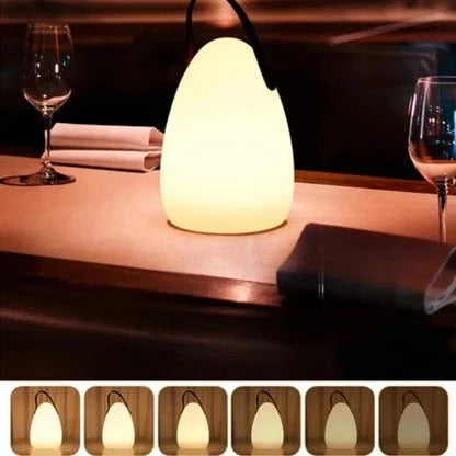 Waterproof LED Table Lamp with USB-C Rechargeable Battery and Touch Control, Remote Zanny Home