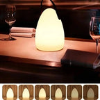 Waterproof LED Table Lamp with USB-C Rechargeable Battery and Touch Control, Remote Zanny Home