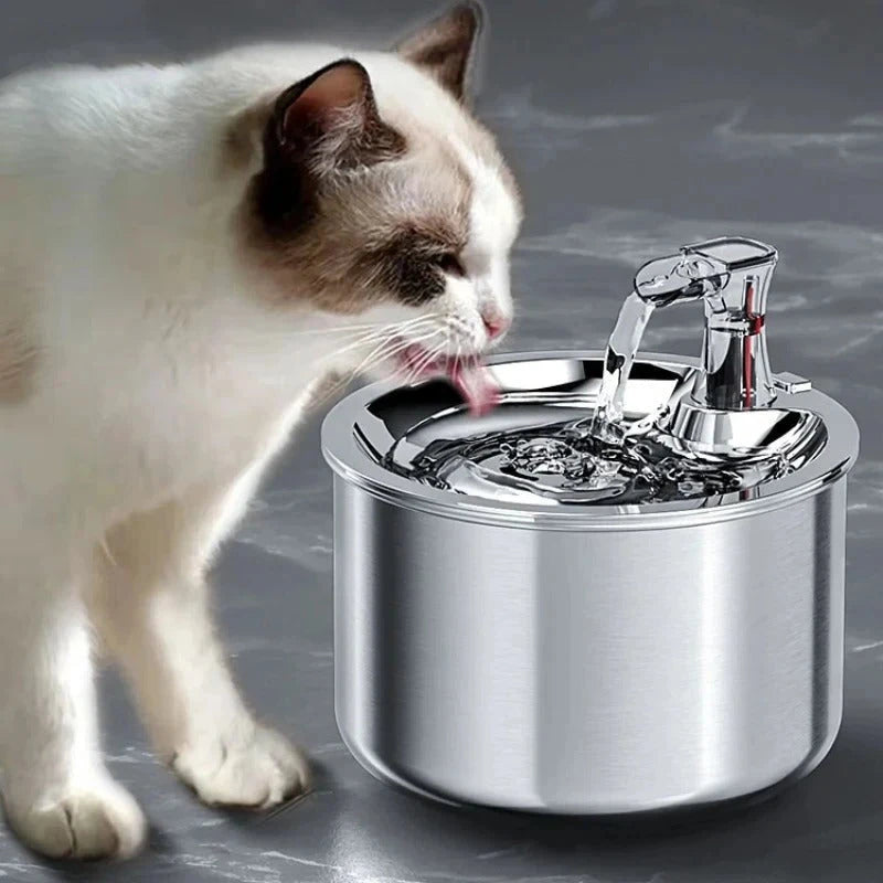 Cat Water Fountain with Stainless Steel Basin and Motion Sensor, 2.1 Quart Capacity Zanny Home
