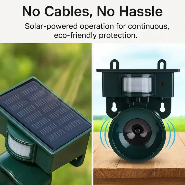 Motion Sensor Bird Repellent with Adjustable Sensitivity and Sound, Weatherproof Zanny Home