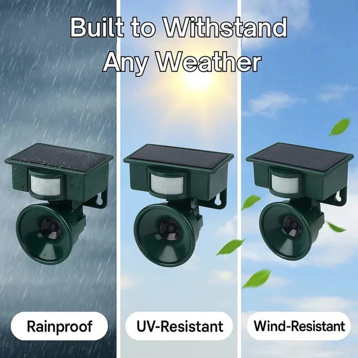 Motion Sensor Bird Repellent with Adjustable Sensitivity and Sound, Weatherproof Zanny Home