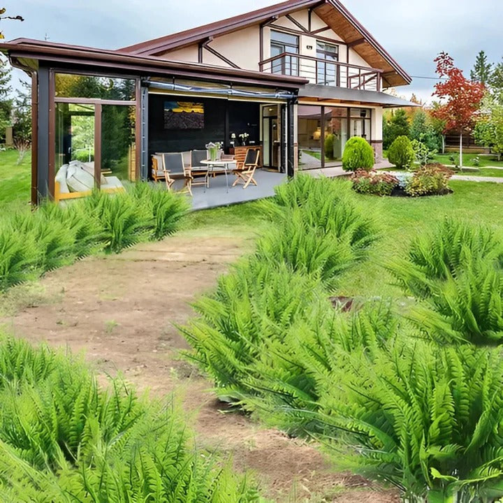 Artificial Boston Fern with UV-Stable Fronds and Flexible Shape, Indoor or Covered Outdoor Zanny Home