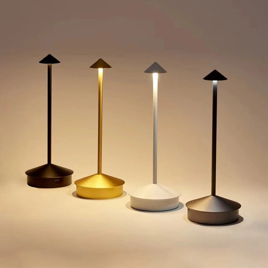 Rechargeable LED Desk Lamp with Touch Control and 3 Color Temperatures, Portable Zanny Home