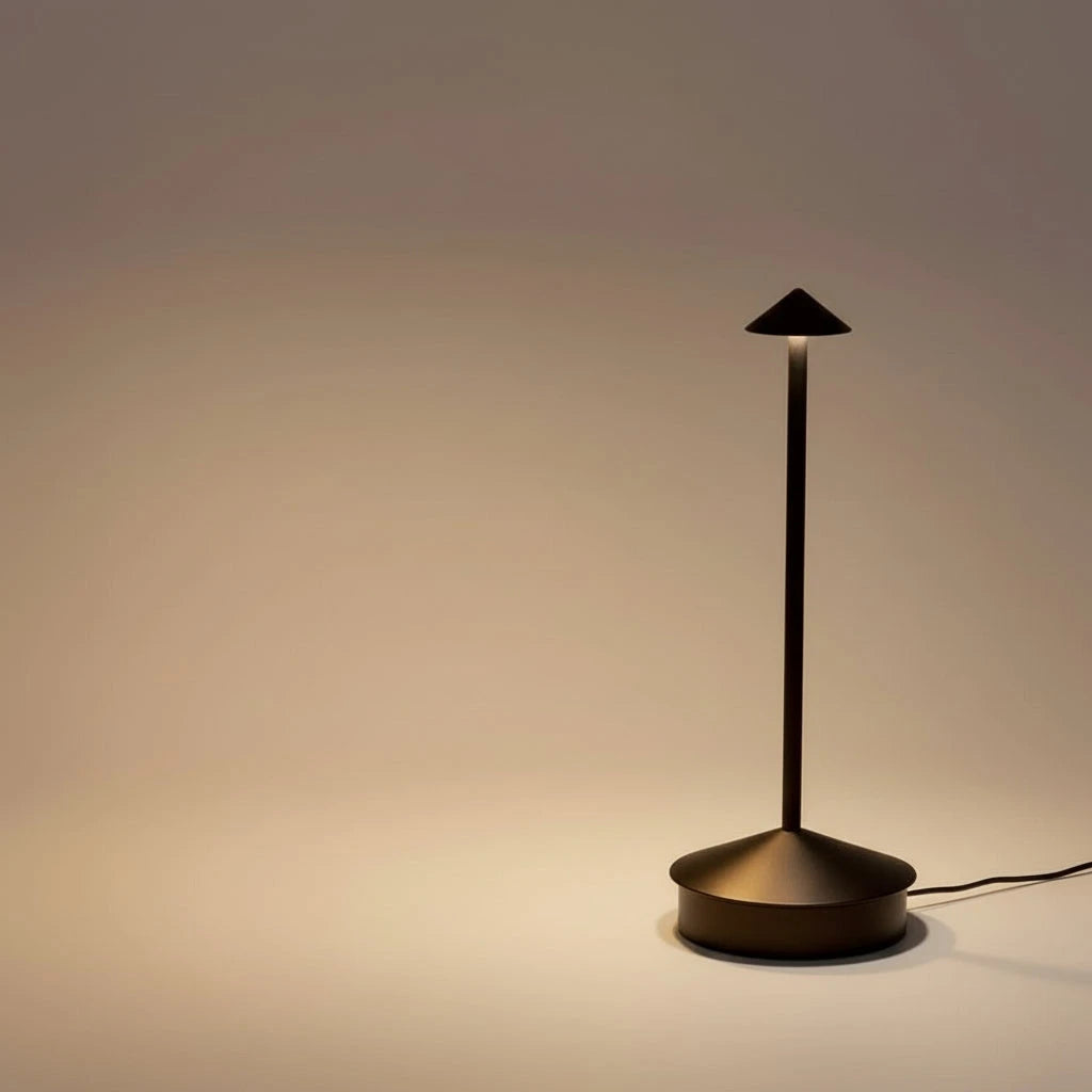 Rechargeable LED Desk Lamp with Touch Control and 3 Color Temperatures, Portable Zanny Home