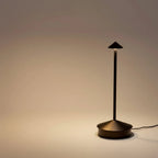 Rechargeable LED Desk Lamp with Touch Control and 3 Color Temperatures, Portable Zanny Home