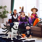 Spider Pet Costume with Attached Sculpted Legs and Adjustable Straps, Padded Comfort Zanny Home