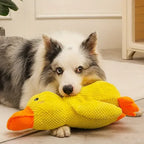 Plush Duck Dog Toy with Deep Quack Sound and Reinforced Stitching, Machine Washable Zanny Home