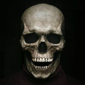 Realistic Skull Mask with Movable Jaw and Full Head Latex Fit, Lifelike Detail Zanny Home