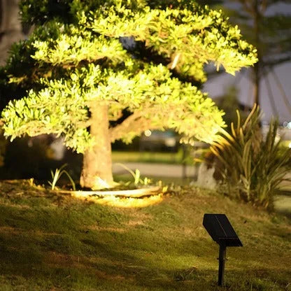 Solar Spotlight with Adjustable Zoom Lens and RGB Plus Warm White LEDs, Weatherproof Zanny Home