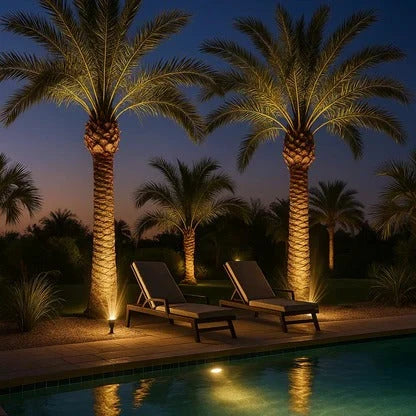 Solar Spotlight with Adjustable Zoom Lens and RGB Plus Warm White LEDs, Weatherproof Zanny Home