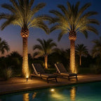 Solar Spotlight with Adjustable Zoom Lens and RGB Plus Warm White LEDs, Weatherproof Zanny Home