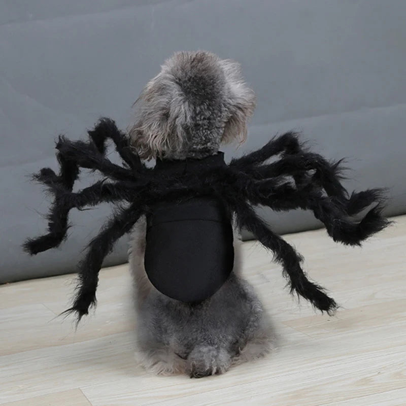 Spider Pet Costume with Attached Sculpted Legs and Adjustable Straps, Padded Comfort Zanny Home