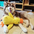 Plush Duck Dog Toy with Deep Quack Sound and Reinforced Stitching, Machine Washable Zanny Home